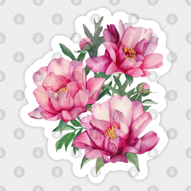 Watercolor bouquet of peonies Sticker by InnaPatiutko